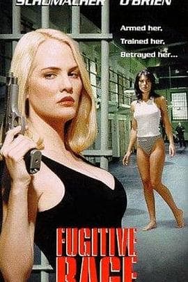 执法精英 - 剧情片 (1996) 海报