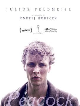 孔雀2015 - 剧情片 (2015) 海报