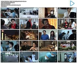 医生的假日 - 剧情片 (2010) 海报