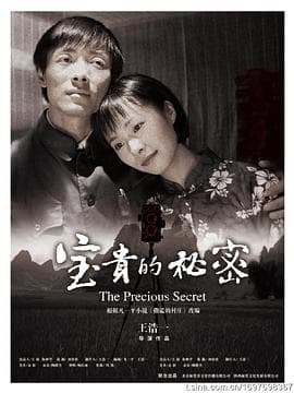 宝贵的秘密 - 剧情片 (2009) 海报