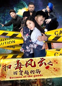 扫毒风云之因货起的祸 - 喜剧片 (2017) 海报
