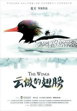 云做的翅膀 - 剧情片 (2020) 海报