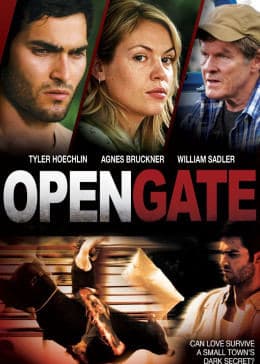 坦途 - 剧情片 (2011) 海报