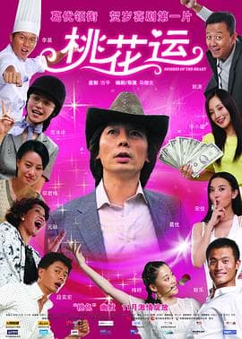 桃花运2008 - 剧情片 (2008) 海报