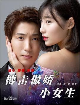 搏击傲娇小女生 - 剧情片 (2017) 海报