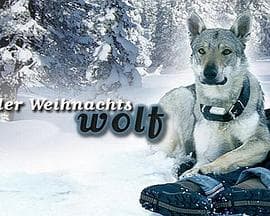 我会回来过圣诞 - 剧情片 (2000) 海报