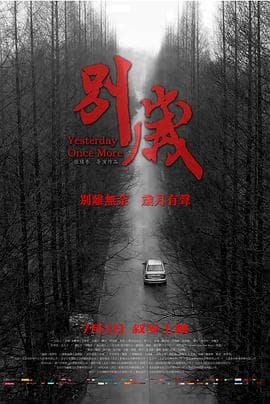 别岁 - 剧情片 (2019) 海报