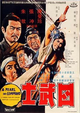 四武士 - 剧情片 (1969) 海报