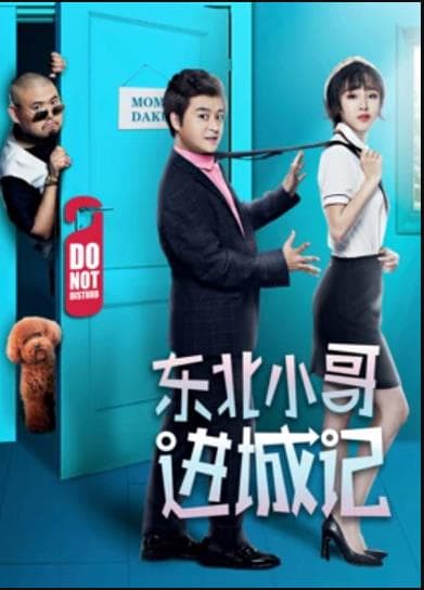 东北小哥进城记 - 喜剧片 (2019) 海报