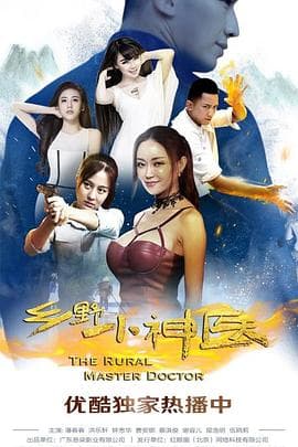 乡野小神医 - 剧情片 (2017) 海报
