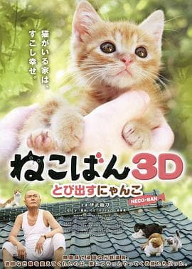小猫跳出来3D - 剧情片 (2010) 海报