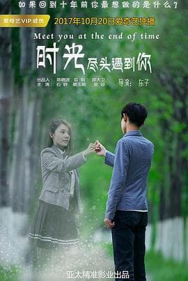 时光尽头遇到你 - 喜剧片 (2017) 海报