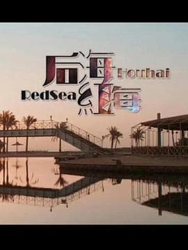 后海·红海 - 剧情片 (2018) 海报