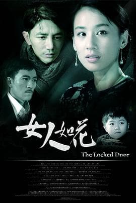 女人如花 - 剧情片 (2012) 海报