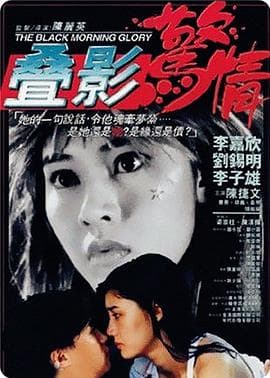 叠影惊情 - 剧情片 (1993) 海报