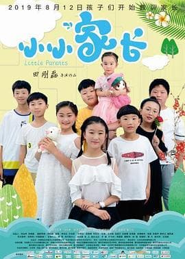 小小家长 - 剧情片 (2019) 海报
