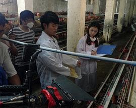 我和教授“羊粪豆” - 剧情片 (2011) 海报