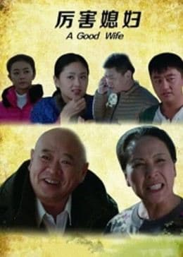 厉害媳妇 - 剧情片 (2014) 海报