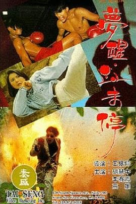 梦醒血未停 - 剧情片 (1991) 海报