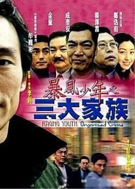 暴风少年之三大家族 - 喜剧片 (2001) 海报