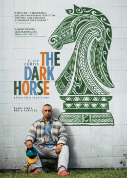 幽暗骏马 - 剧情片 (2014) 海报