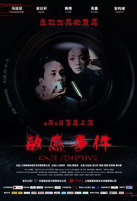 敏感事件 - 剧情片 (2011) 海报