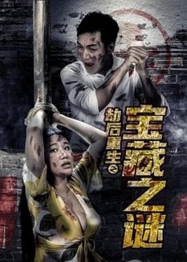 劫后重生之宝藏之谜 - 剧情片 (2020) 海报