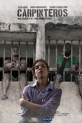 啄木鸟 - 剧情片 (2017) 海报