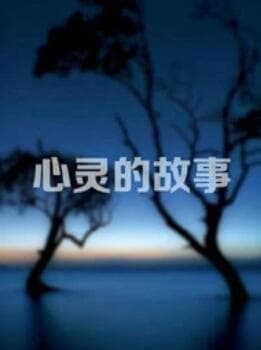 心灵的故事 - 剧情片 (2012) 海报