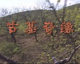 古墓奇缘 - 剧情片 (2009) 海报