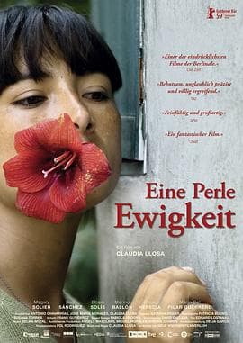 伤心的奶水 - 剧情片 (2009) 海报