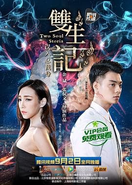 双生记之误入总裁身 - 剧情片 (2016) 海报