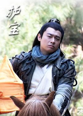 护宝 - 剧情片 (2011) 海报