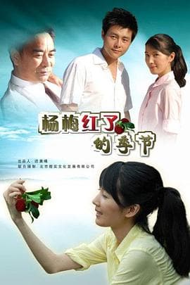 杨梅红了的季节 - 剧情片 (2009) 海报