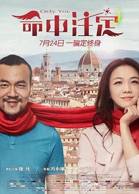 命中注定 - 喜剧片 (2015) 海报