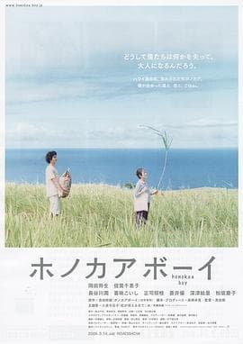 夏威夷男孩 - 剧情片 (2009) 海报