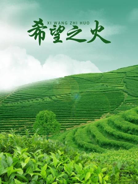 希望之火 - 剧情片 (2015) 海报