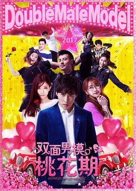 双面男模之桃花期 - 喜剧片 (2017) 海报