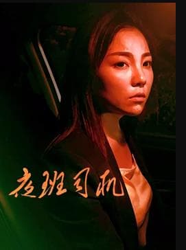 夜班司机 - 剧情片 (2018) 海报
