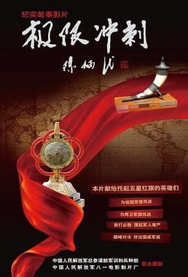 极限冲刺 - 剧情片 (2010) 海报