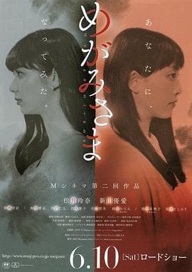 女神大人 - 剧情片 (2017) 海报