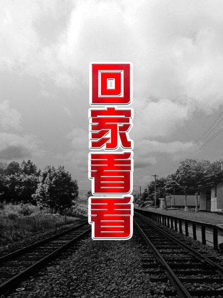 回家看看 - 剧情片 (2006) 海报