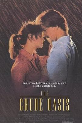 欲望绿洲 - 剧情片 (1995) 海报