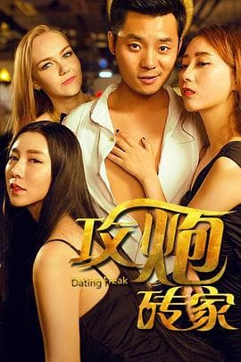 攻炮砖家 - 剧情片 (2015) 海报