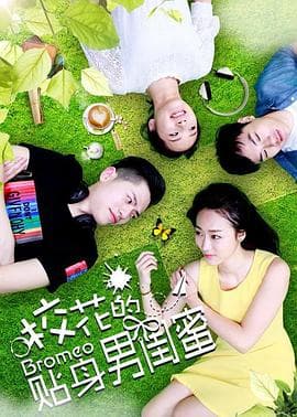 校花的贴身男闺蜜 - 喜剧片 (2018) 海报