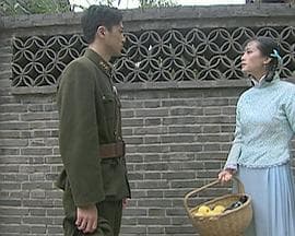 侬本痴情 - 剧情片 (2010) 海报