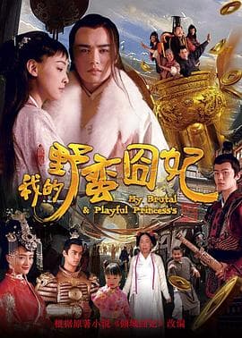 我的野蛮囧妃 - 剧情片 (2016) 海报