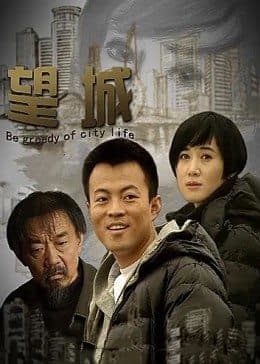 望城 - 剧情片 (2011) 海报