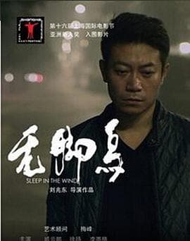 无脚鸟 - 剧情片 (2013) 海报