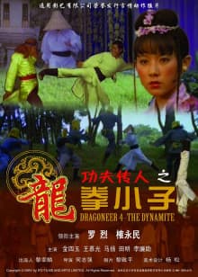 功夫传人之龙拳小子 - 剧情片 (1978) 海报